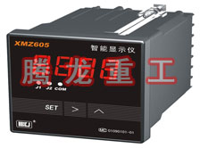 溫度表、數(shù)字顯示儀、濕度表