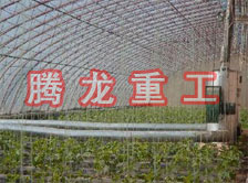 大棚花卉供暖設(shè)備、大棚卉采暖設(shè)備、大棚花卉取暖設(shè)備